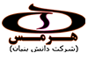 optional logo